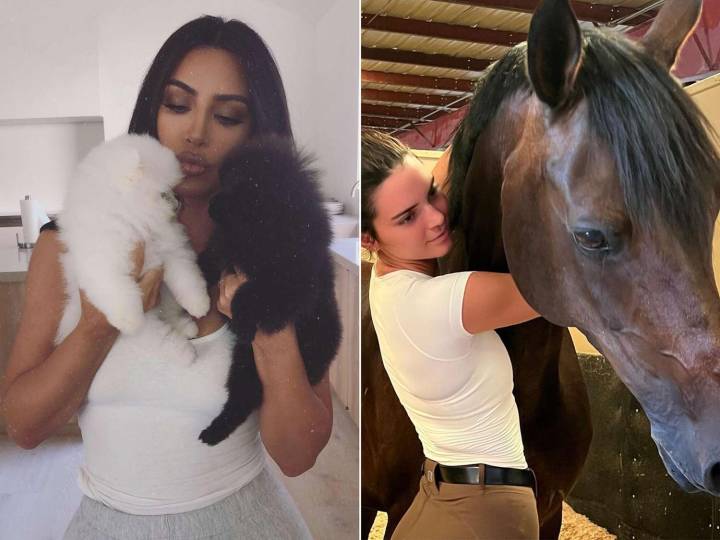 Meet the Kardashians' and Jenners' Family Pets
