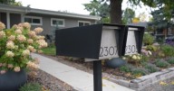 Littleton voters to decide future of neighborhoods this November