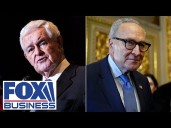 Newt Gingrich TORCHES Schumer over ‘inhumane, dumb’ remark