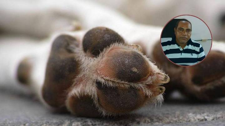 ¿Violencia? Se viraliza video en el que un concejal arrastra perrito desde una moto