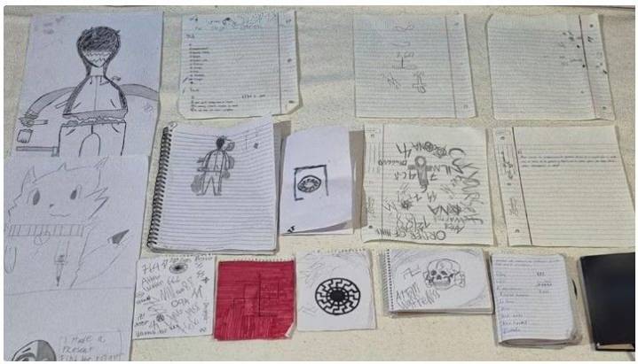 Nazis, ISIS y Pokémon: el perturbador mundo de un chico de 14 años allanado por amenazas terroristas