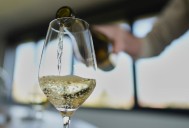 Norfolk's Town Point wine festival: what to know