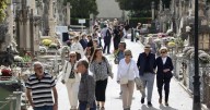 Cort lanza un dispositivo especial en el Cementerio de Palma para Todos los Santos: este es el horario