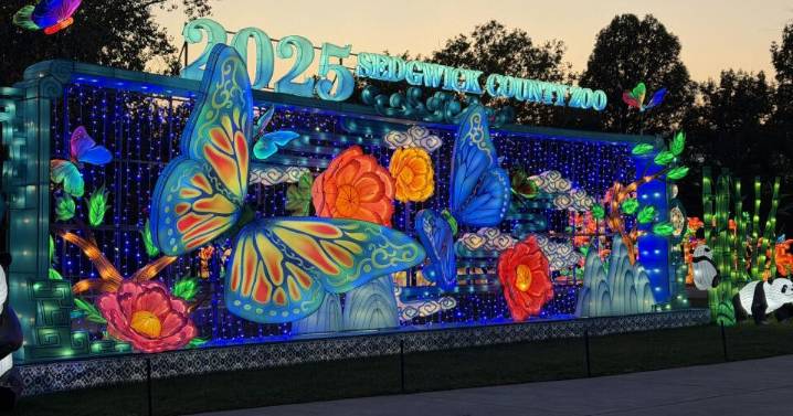 Sneak Peak: Wild Lights 2025 at Sedgwick County Zoo