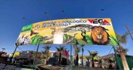 Avalan condiciones de animales en exhibición Fiestas del Sol