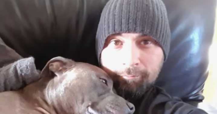 Kane Minion death: Guard dogs menaced worker before meter reader killed