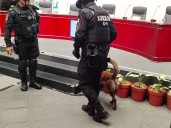 Zorros de SSC CDMX ‘peinan’ al Antiguo Palacio del Ayuntamiento previo a evento