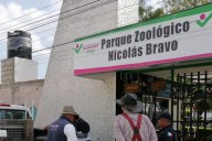 Esto dijo la directora del zoológico de Tulancingo sobre la advertencia de Profepa
