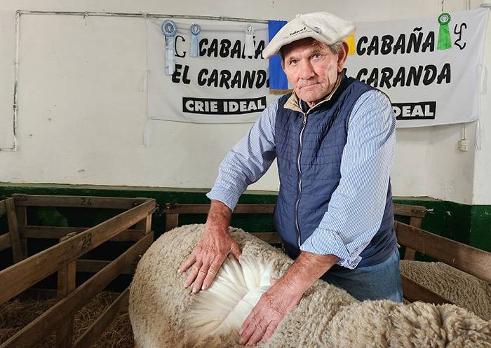 Corrientes: cae la producción ovina en el sur ante el avance de la población de jabalíes