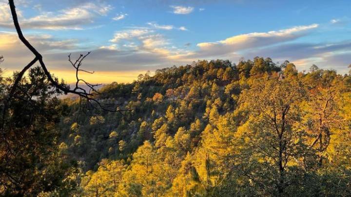 Frente frío y aire polar traerán heladas a la Sierra de Chihuahua