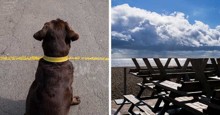 31 Funny Accidental Images That Were Taken At The Right Time And Place By This Street Photographer