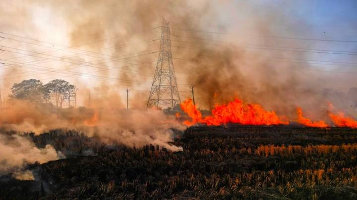 Farm fire cases may see spike in coming weeks, say experts