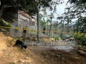 “Solo se escucharon los disparos”: así fue la masacre que dejó cuatro muertos en Floridablanca