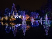 Vancouver park board could charge $25 for parking at VanDusen Botanical Garden's Festival of Lights event