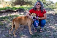 Blind Dog Who Disappeared During a Thunderstorm, Found 33 Days Later with AI (Exclusive)