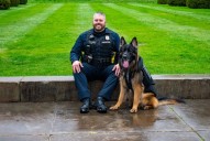 Woodmere Village police K-9 dies suddenly