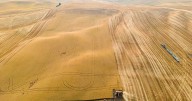 Recently announced wheat deal between Idaho and Taiwan maintains status quo