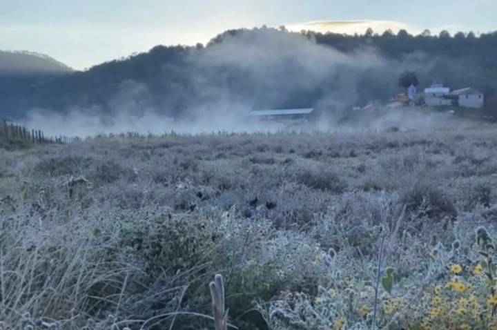 Primera helada invernal en #Oaxaca cubre de hielo Chalcatongo, Yosondúa e Itundujia, en la Sierra Sur y la Mixteca