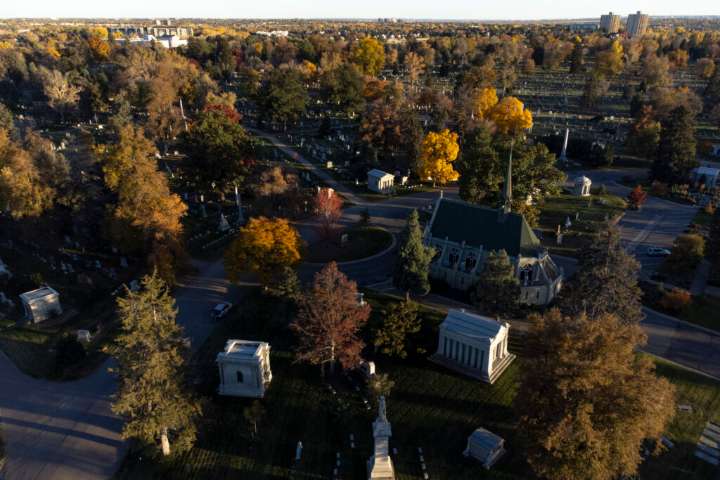 Has the notorious ‘Blonde Tigress’ finally been found in Denver?