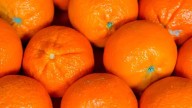 Puebla produce mucha mandarina, pero es donde más cara se vende: Profeco