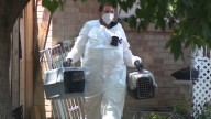 109 animal cruelty charges filed after dozens of animals found in Northglenn home