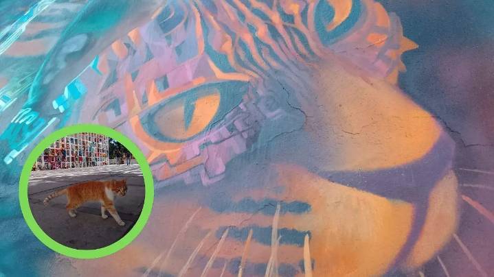 Hugo, el guardián de las almas del Panteón San Nicolás, en León