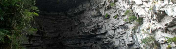 Empresas causantes de ecocidio en el Sótano de las Golondrinas aún no atiende programa de mitigación