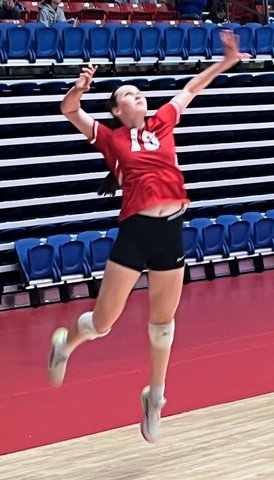 Cardinal volleyball battles back to semifinals