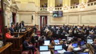 El Senado sostuvo la ley de financiamiento del Garrahan y universidades