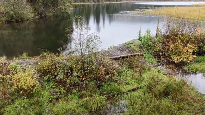 Illegal dam threatens to overflow, prompting evacuations in B.C. Interior