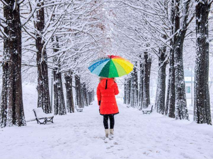 First Snowfall of the Sason in….
