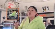Mujer policía de civil se habría negado a pagar pasaje y hace que chofer sea detenido tras llamar a colegas El hecho registrado en video ha generado gran debate en redes y el caso ha sido apodado como
