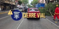 Cierran dos tramos de avenida Juárez por caída de un poste y de ramas