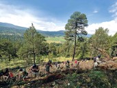 Proyecto de seguridad en la CDMX: módulos de vigilancia y cámaras, en el Ajusco