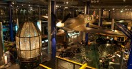 A Birmingham attraction is offering free admission three days a week to certain people