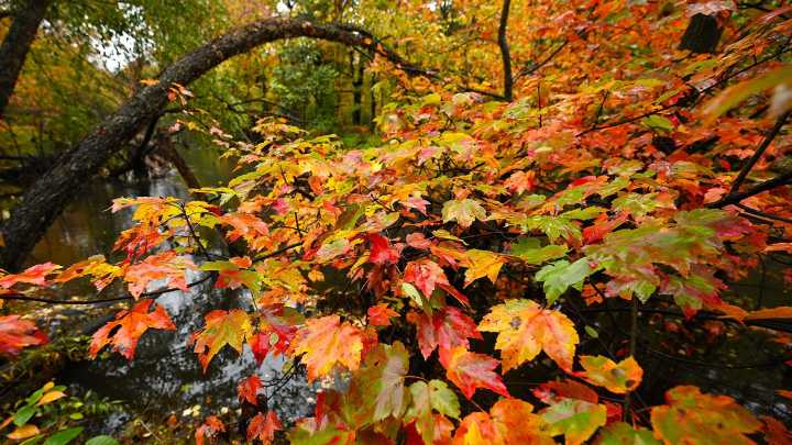 Columbus Day, Indigenous Peoples' Day closures in Vermont