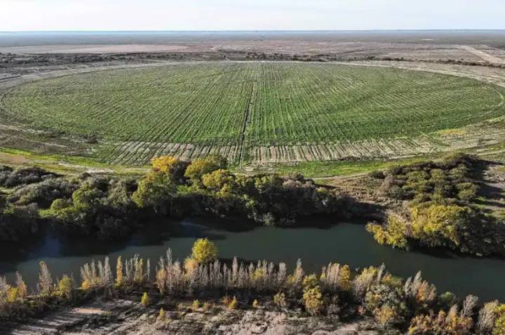 La Colonia Menonita de Guatraché invierte en Río Negro: compraron 5.000 hectáreas