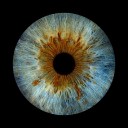 Freeport shop zooms in on the unique details of the eye