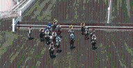 British jockey suffers sickening injuries in horror fall