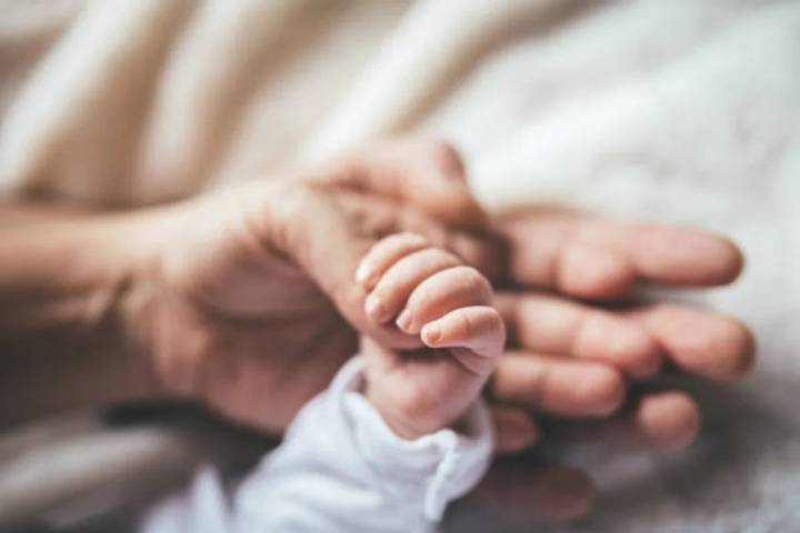 La provincia patagónica que tuvo menos nacimientos pero sigue creciendo: el cambio demográfico que sorprende al país