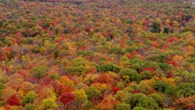Health care providers promote the healing effects of nature