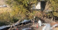 Removal of treehouse homeless encampment underway in Vernon, displacing residents