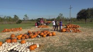 Faith Methodist Church hosts annual pumpkin patch, community events in Orange