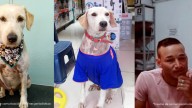 El atroz caso de un hombre que apuñaló al perro Copito en Acacías, Meta: le ladró durante una riña