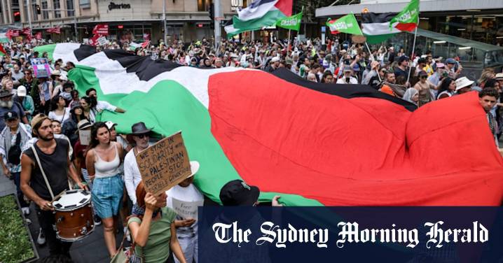 Pro-Palestine protest march: Supporters vow they will keep marching despite ceasefire