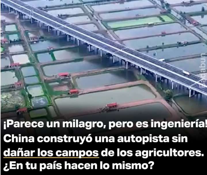 "China Construye Autopista Elevada que 'Flota' sobre Campos de Cultivo y Estanques"