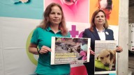 "Castigo real": continúa la lucha por justicia para 'huesitos', perrito agredido en Puebla