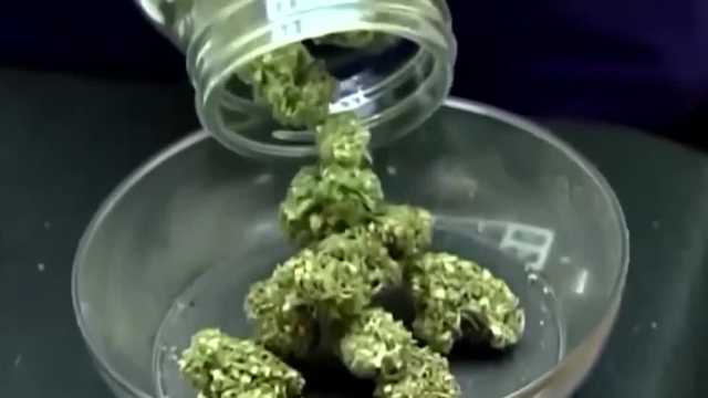 House committee advances marijuana legalization bill, but many say final approval unlikely