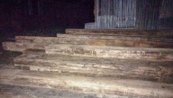 Incautan 20 metros cúbicos de madera ilegal y detienen a ocho personas en Yurimaguas