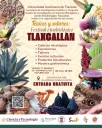JET promueve, comparte y revitaliza los conocimientos de comunidades originarias de Tlaxcala: UATx